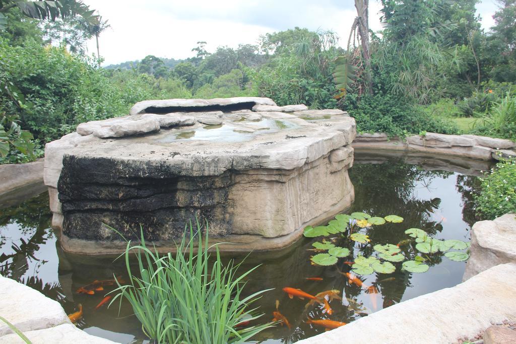 Le Residence De Josephine Kloof Buitenkant foto